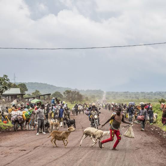 Guerre en RDC : impacts sur le marché du travail à l’Est 