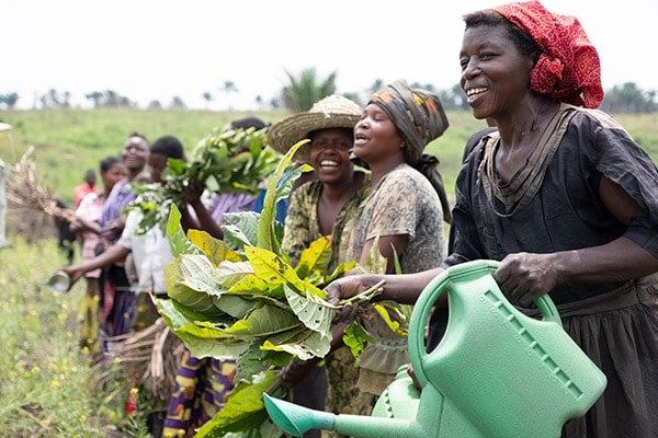 Entre crise sécuritaire et Insécurité alimentaire : quelle place pour le maraichage à Kisangani ?